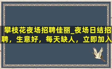金华酒吧招聘